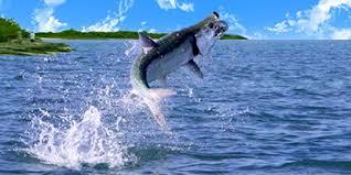 Fishing - images1.jpeg